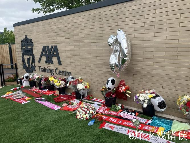 B费谈为若塔献花：怀念挚友，感谢利物浦给予致敬机会